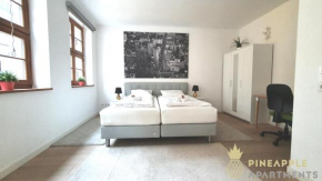 Pineapple Apartments Luxus Apartment im Palais am Neumarkt